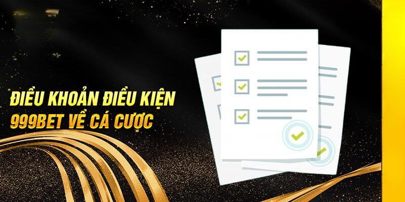 Thông tin chi tiết về điều khoản và điều kiện
